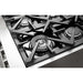 Forno Massimo 36" Freestanding Dual Fuel Range FORNO