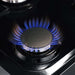 Forno Massimo 48" Freestanding Dual Fuel Range FORNO