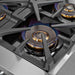 Forno Capriasca 36" Gas Range, 6 Brass Burners, 120,000 BTU, 5.36 cu.ft. Oven FORNO