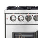 Forno Massimo 36" Freestanding French Door Dual Fuel Range FORNO