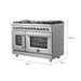 Forno Massimo 48" Freestanding French Door Dual Fuel Range FORNO