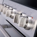 Forno Leonardo Espresso 30-Inch Slide-In Induction Range Stainless-Steel FORNO
