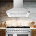 Forno Orvieto 48'' Wall Mount Range Hood FORNO